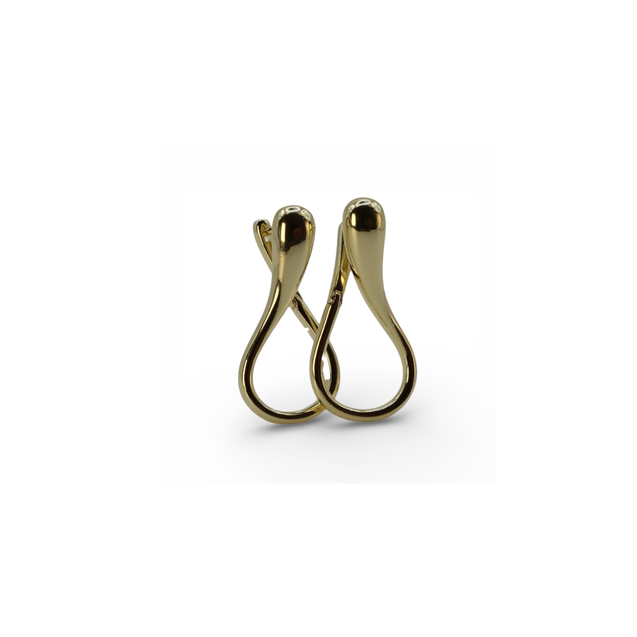Sculptural Flow Earrings – Ardyn